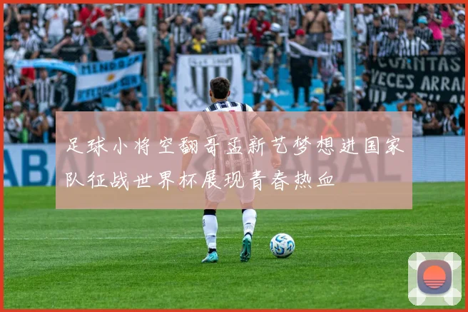 足球小将空翻哥孟新艺梦想进国家队征战世界杯展现青春热血
