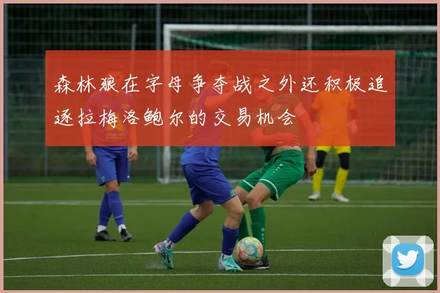 森林狼在字母争夺战之外还积极追逐拉梅洛鲍尔的交易机会