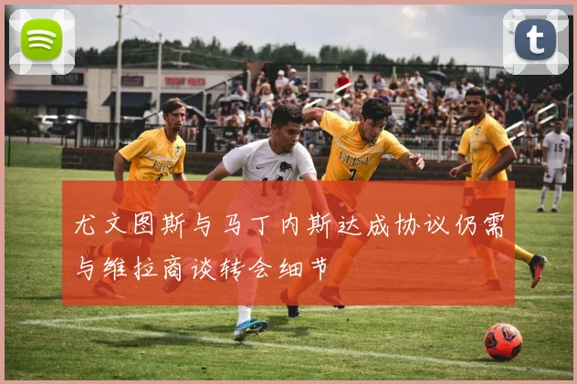尤文图斯与马丁内斯达成协议仍需与维拉商谈转会细节