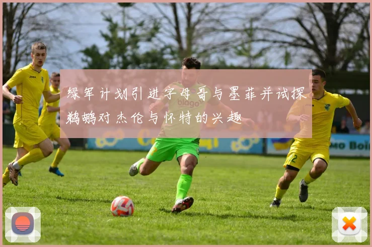 绿军计划引进字母哥与墨菲并试探鹈鹕对杰伦与怀特的兴趣